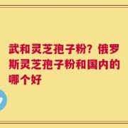 武和灵芝孢子粉？俄罗斯灵芝孢子粉和国内的哪个好