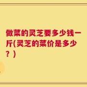 做菜的灵芝要多少钱一斤(灵芝的菜价是多少？)