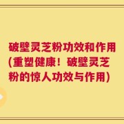 破壁灵芝粉功效和作用(重塑健康！破壁灵芝粉的惊人功效与作用)