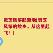 灵芝风筝起源地(灵芝风筝的故乡，从这里起飞！)