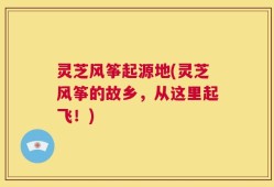 灵芝风筝起源地(灵芝风筝的故乡，从这里起飞！)