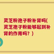 灵芝粉孢子粉补肾吗(灵芝孢子粉能够起到补肾的作用吗？)