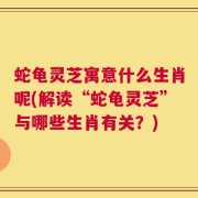 蛇龟灵芝寓意什么生肖呢(解读“蛇龟灵芝”与哪些生肖有关？)