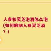 人参和灵芝泡酒怎么泡(如何酿制人参灵芝酒？)