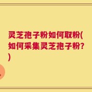灵芝孢子粉如何取粉(如何采集灵芝孢子粉？)