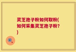 灵芝孢子粉如何取粉(如何采集灵芝孢子粉？)