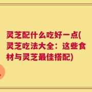 灵芝配什么吃好一点(灵芝吃法大全：这些食材与灵芝最佳搭配)