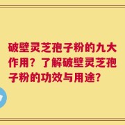 破壁灵芝孢子粉的九大作用？了解破壁灵芝孢子粉的功效与用途？
