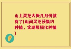 山上灵芝大概几月份就有了(山间灵芝获集约种植，实现规模化种植)