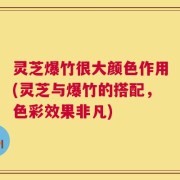 灵芝爆竹很大颜色作用(灵芝与爆竹的搭配，色彩效果非凡)