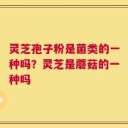灵芝孢子粉是菌类的一种吗？灵芝是蘑菇的一种吗