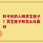 肝不好的人喝灵芝孢子？灵芝孢子粉怎么吃最好