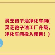 灵芝孢子油净化车间(灵芝孢子油工厂升级，净化车间投入使用！)