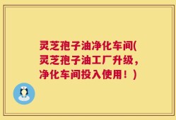 灵芝孢子油净化车间(灵芝孢子油工厂升级，净化车间投入使用！)