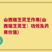 山西瑞芝灵芝作用(山西瑞芝灵芝：功效及药用价值)