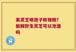 紫灵芝喷孢子粉视频？新鲜野生灵芝可以泡酒吗