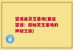 望谟县灵芝基地(重返望谟：探秘灵芝基地的神秘之旅)
