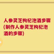 人参灵芝枸杞泡酒步骤(制作人参灵芝枸杞泡酒的步骤)