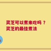灵芝可以煮来吃吗 ？灵芝的最佳煮法