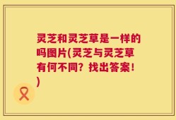 灵芝和灵芝草是一样的吗图片(灵芝与灵芝草有何不同？找出答案！)