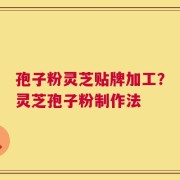孢子粉灵芝贴牌加工？灵芝孢子粉制作法