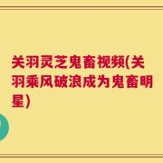 关羽灵芝鬼畜视频(关羽乘风破浪成为鬼畜明星)