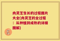 肉灵芝生长的过程图片大全(肉灵芝的全过程：从种植到成熟的详细图解)