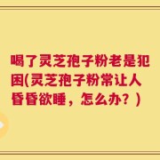 喝了灵芝孢子粉老是犯困(灵芝孢子粉常让人昏昏欲睡，怎么办？)