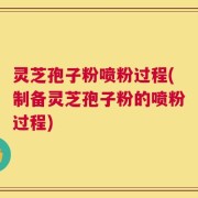 灵芝孢子粉喷粉过程(制备灵芝孢子粉的喷粉过程)