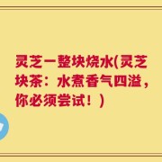 灵芝一整块烧水(灵芝块茶：水煮香气四溢，你必须尝试！)