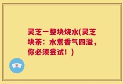 灵芝一整块烧水(灵芝块茶：水煮香气四溢，你必须尝试！)