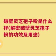 破壁灵芝孢子粉是什么样(解密破壁灵芝孢子粉的功效及用途)