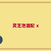 灵芝泡酒配 x