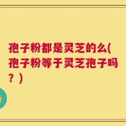 孢子粉都是灵芝的么(孢子粉等于灵芝孢子吗？)