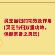 灵芝当归的功效及作用(灵芝当归双重功效，保健常备之良选)