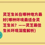 灵芝生长在哪种地方最好(哪种环境最适合灵芝生长？——灵芝最佳生长环境深度解析)