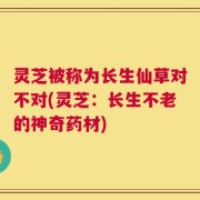 灵芝被称为长生仙草对不对(灵芝：长生不老的神奇药材)