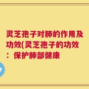 灵芝孢子对肺的作用及功效(灵芝孢子的功效：保护肺部健康