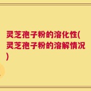 灵芝孢子粉的溶化性(灵芝孢子粉的溶解情况)