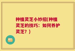 种植灵芝小妙招(种植灵芝的技巧：如何养护灵芝？)
