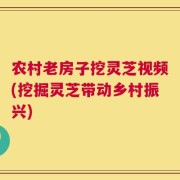 农村老房子挖灵芝视频(挖掘灵芝带动乡村振兴)