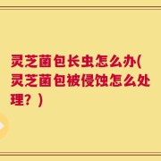 灵芝菌包长虫怎么办(灵芝菌包被侵蚀怎么处理？)