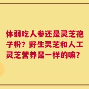 体弱吃人参还是灵芝孢子粉？野生灵芝和人工灵芝营养是一样的嘛？