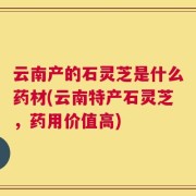 云南产的石灵芝是什么药材(云南特产石灵芝，药用价值高)