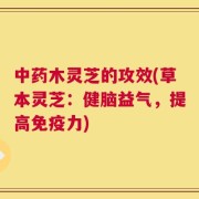 中药木灵芝的攻效(草本灵芝：健脑益气，提高免疫力)