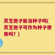灵芝孢子能当种子吗(灵芝孢子可作为种子使用吗？)