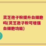 灵芝孢子粉提升白细胞吗(灵芝孢子粉可增强白细胞功能)
