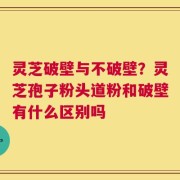 灵芝破壁与不破壁？灵芝孢子粉头道粉和破壁有什么区别吗