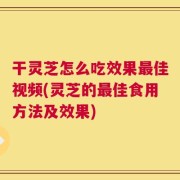 干灵芝怎么吃效果最佳视频(灵芝的最佳食用方法及效果)