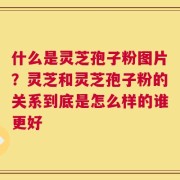什么是灵芝孢子粉图片？灵芝和灵芝孢子粉的关系到底是怎么样的谁更好